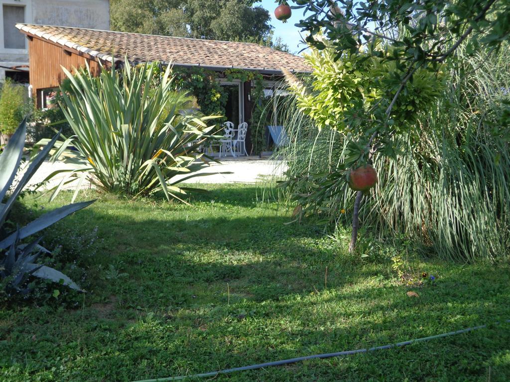 Gites Du Mas Gibert A Saussines Entre Nimes Et Montpellier Exterior foto